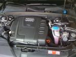 2008 Audi A4  / pepanR