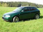1998 Audi A3  / Chlup