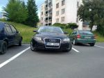 2005 Audi A3 Sportback  / Mildas6