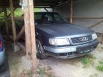 1992 Audi 100  Q / moucha