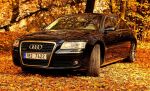 2007 Audi A8  / petersweter