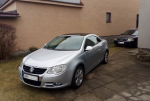 2006 Volkswagen Golf  / snuff 