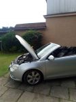 2006 Volkswagen Golf  / snuff 
