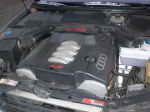 1998 Audi A8  Q / DoktorF